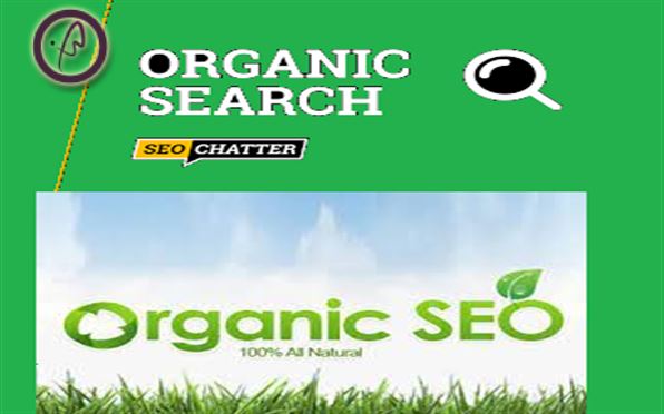 در این بخش به انواع جستجو در موتورهای جستجو که شامل جستجوی ارگانیک و جستجوی پولی می باشد می پردازیم و در مورد مزایا و معایب جستجوی ارگانیک بیشتر...