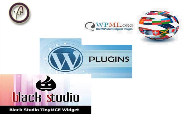 در این مقاله در مورد افزونه های WPML و  Black Studio TinyMCE Widget از سری افزونه های وردپرس صحبت خواهد شد.