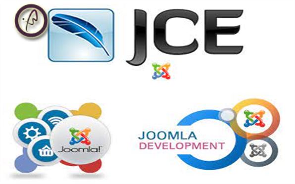 در این مقاله در مورد افزونه ZOO وافزونه JCE از سری افزونه های سیستم مدیریت محتوای جوملا صحبت شده است .