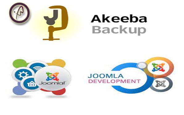 در این مقاله افزونه Akeeba و برخی از قابلیت‌ها و ویژگی‌های افزونه Akeeba و افزونه All  Videos و جمع بندی کلی در مورد دسته بندی انواع افزونه های...